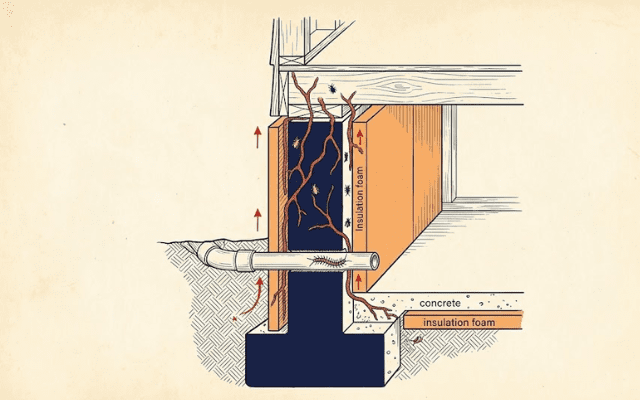 【地中侵入】基礎・床下：シロアリ・ムカデ・アリの侵入路